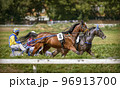 Jockeys and horses. Racing horses competing with each other. Race in harness with a sulky or racing bike. Harness racing. Trotting horse race. Sport banner 96913700