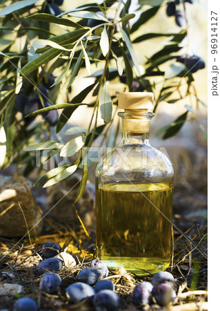 Olive oil with olive tree branch background. Natural oil for food or cosmetics from natural ingredients. Healthy food, cosmetics concept. Olive oil with olive tree branch background. Natural oil for food or cosmetics from natural ingredients. Healthy food, cosmetics concept. 96914127