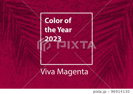 Color of the year 2023 background. Magenta new trend color on red purple background with shadow palm. 96914130