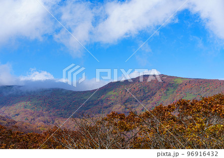 那須ゴンドラ　ゴヨウツツジ展望台からの紅葉風景 96916432