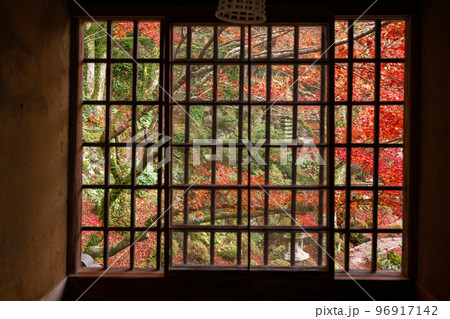 山陰の小京都　秋の奥津和野　堀庭園の紅葉 島根県 96917142
