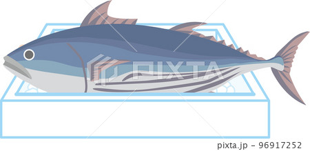 氷の入った発泡スチロールのケースに入った鰹 96917252