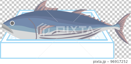 氷の入った発泡スチロールのケースに入った鰹 96917252