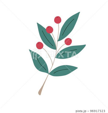 Christmas plant, decorative branch with leaves, light red berries for home decor, festive holiday arrangement, vector illustration for seasonal greeting card, invitation, banner 96917323