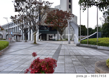 富士市文化会館ロゼシアターとエントランスと紅葉 富士市文化会館ロゼシアターとエントランスと紅葉 96917458