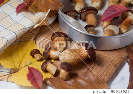 Several Imleria Badia or Boletus badius mushrooms commonly known as the bay bolete, vintage baking sheet with mushrooms on wooden cutting board.. Several Imleria Badia or Boletus badius mushrooms commonly known as the bay bolete, vintage baking sheet with mushrooms on wooden cutting board.. 96918925