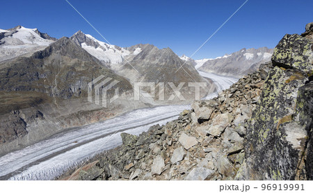 Great Aletsch Glacier seen from Bettmerhorn (Valais, Switzerland) 96919991