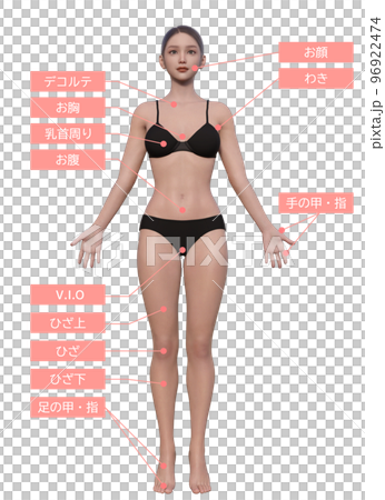 女性が悩む脱毛の施術部位 ナチュラルな日本人女性3Dモデルの全身正面イラスト 96922474