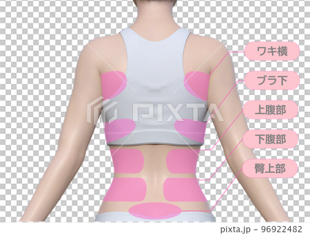 描述女性上半身背部食療區的插圖-插圖素材 [96922482] - PIXTA圖庫