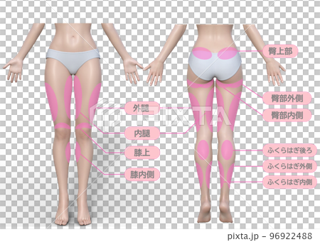 想要減肥的女性下半身飲食治療區前後視圖圖解 想要減肥的女性下半身飲食治療區前後視圖圖解 96922488