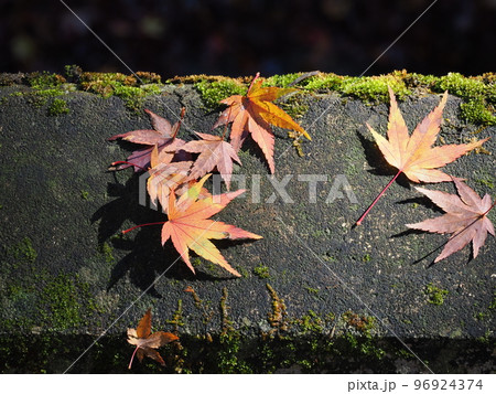 秋の妙義神社　境内の紅葉 96924374