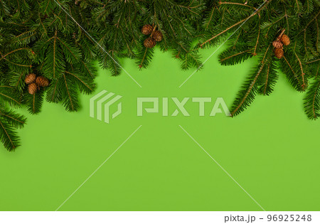 Close up fresh Christmas tree branches over green 96925248