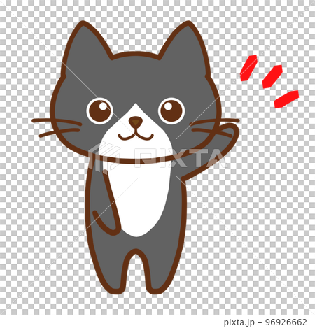 ワンポイントを伝えるまん丸目のかわいいハチワレ黒猫のイラスト素材