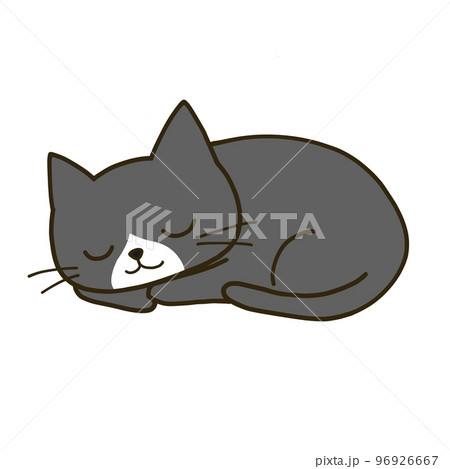 丸まって眠るシンプルなハチワレ黒猫 丸まって眠るシンプルなハチワレ黒猫 96926667
