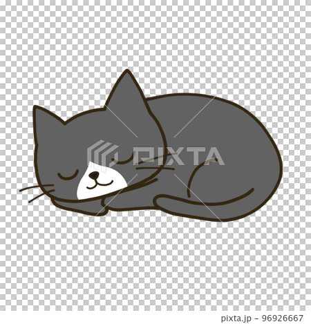 丸まって眠るシンプルなハチワレ黒猫 丸まって眠るシンプルなハチワレ黒猫 96926667