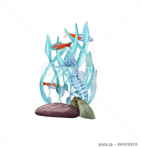 Watercolor illustration of a set of marine fauna isolated on white background. Seahorse, seafish, stone, corals, seaweed, plants, water, sea, ocean. Print, design, poster, fabric, decoration, pattern 96926920