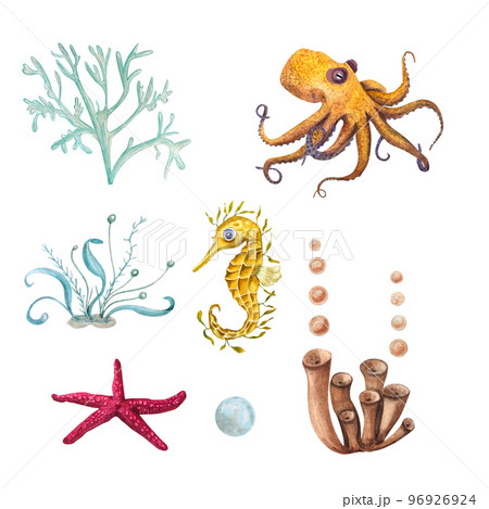 Watercolor illustration of a set of marine fauna isolated on white background. Octopus, starfish, shells, corals, seahorse, seaweed, plants, water, sea, ocean. Print design poster fabric decoration 96926924