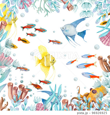 Watercolor illustration of a set of marine fauna isolated on white background. Angelfish, shells, corals,octopus, seaweed, water, sea, ocean. Print, design, poster, fabric, decoration 96926925