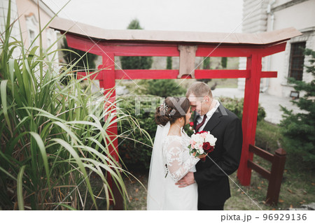 Sensual married couple, valentines hugging in front of old slavic castle 96929136