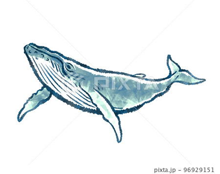 鯨 96929151