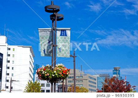 富山市の吊り型ハンギングタイプの寄せ植え　花壇　富山城址公園沿い 96930395