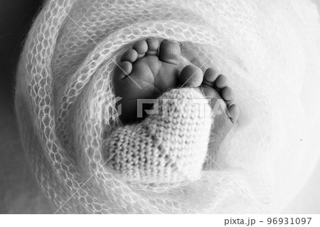 Feet of a newborn close-up in a woolen blanket. Pregnancy, motherhood, preparation and expectation of motherhood, the concept of the birth of a child. Black and white photography.  96931097