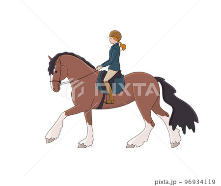 Beautiful horsewoman rides a shire horse 96934119