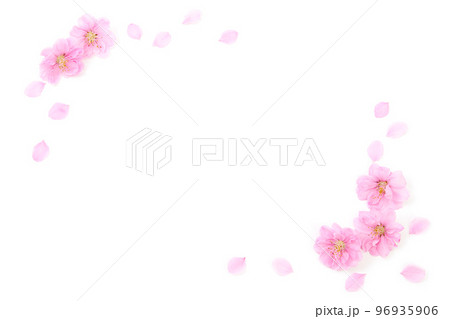 桃の花弁のフレーム 96935906