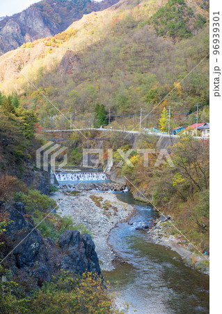 松木川 古河橋からの上流の眺め 日光市足尾町 秋の風景 松木川 古河橋からの上流の眺め 日光市足尾町 秋の風景 96939301
