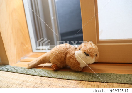 こちらを見つめる小動物 こちらを見つめる小動物 96939317