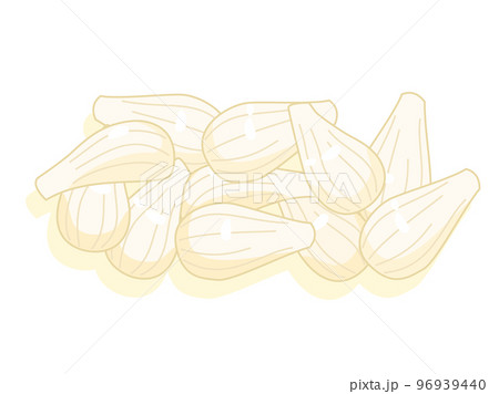 ラッキョウのイラスト 96939440