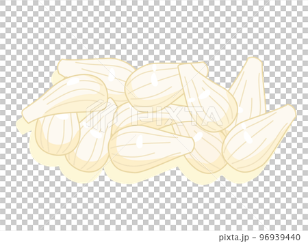 ラッキョウのイラスト 96939440