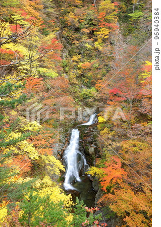 福島県二本松市　安達太良山登山道塩沢コースの見どころ屏風岩から見下ろす湯川渓谷の相恋の滝と紅葉 96940384