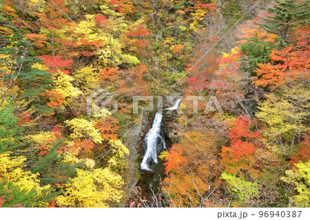 福島県二本松市　安達太良山登山道塩沢コースの見どころ屏風岩から見下ろす湯川渓谷の相恋の滝と紅葉 96940387