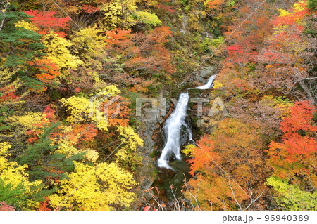 福島県二本松市　安達太良山登山道塩沢コースの見どころ屏風岩から見下ろす湯川渓谷の相恋の滝と紅葉 96940389