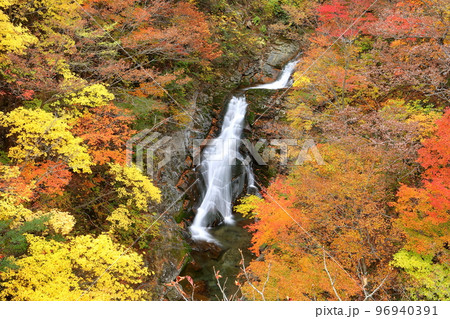 福島県二本松市 安達太良山登山道塩沢コースの見どころ屏風岩から見下ろす湯川渓谷の相恋の滝と紅葉 福島県二本松市 安達太良山登山道塩沢コースの見どころ屏風岩から見下ろす湯川渓谷の相恋の滝と紅葉 96940391
