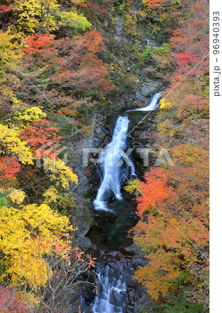 福島県二本松市　安達太良山登山道塩沢コースの見どころ屏風岩から見下ろす湯川渓谷の相恋の滝と紅葉 96940393