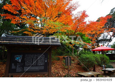 六義園染井門のモミジの紅葉 96940409