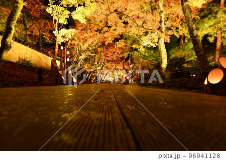 宝厳院紅葉ライトアップ 宝厳院紅葉ライトアップ 96941128