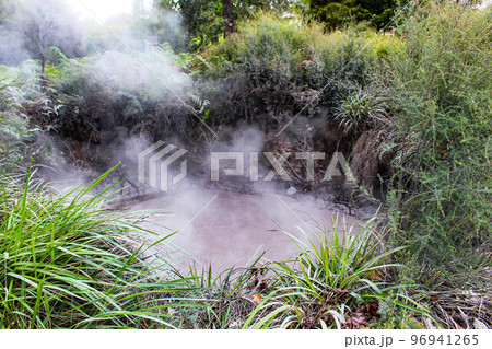 【ロトルア】クイラウパーク 96941265