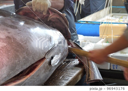大間産本マグロの解体とマグロの競り。 大間産本マグロの解体とマグロの競り。 96943176