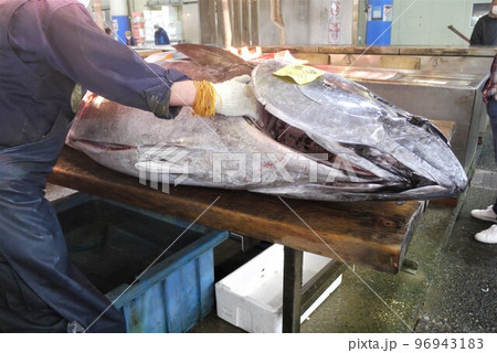 大間産本マグロの解体とマグロの競り。 大間産本マグロの解体とマグロの競り。 96943183