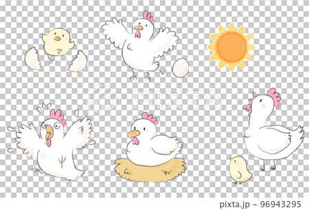ひよことにわとり 親子 たまご シンプルイラスト2 96943295