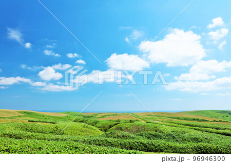 北海道　夏の青空　宗谷丘陵からの風景 96946300
