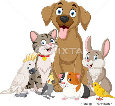 Cute cartoon pets collection set 96946867