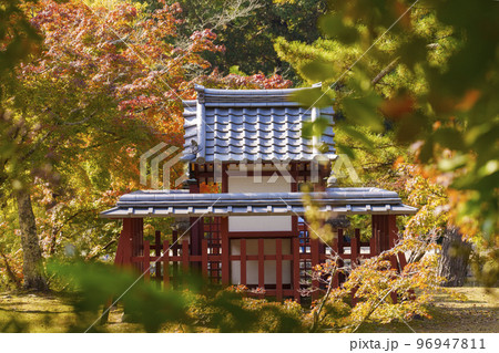 奈良 奈良公園 東大寺の鏡池と厳島神社と紅葉 奈良 奈良公園 東大寺の鏡池と厳島神社と紅葉 96947811