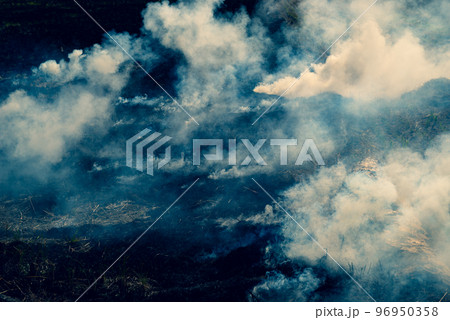 収穫後の田んぼの野焼き 炎が消えた後も立ち上る煙 　b-2 暖色寒色強調 96950358