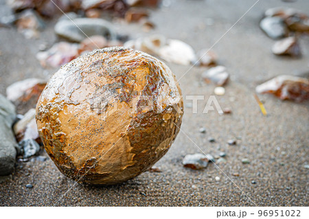 北海道の冬の海岸 北海道の冬の海岸 96951022