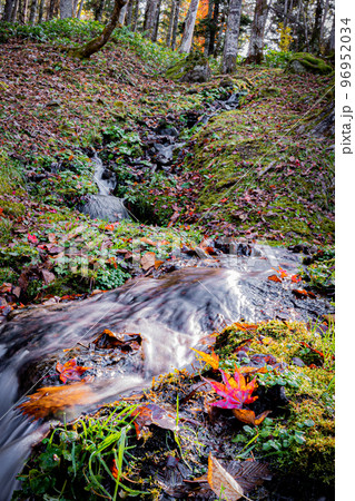 北海道の晩秋の福原山荘の風景 96952034