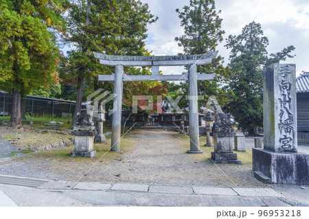 手向山八幡宮　紅葉の季節（奈良県奈良市） 96953218